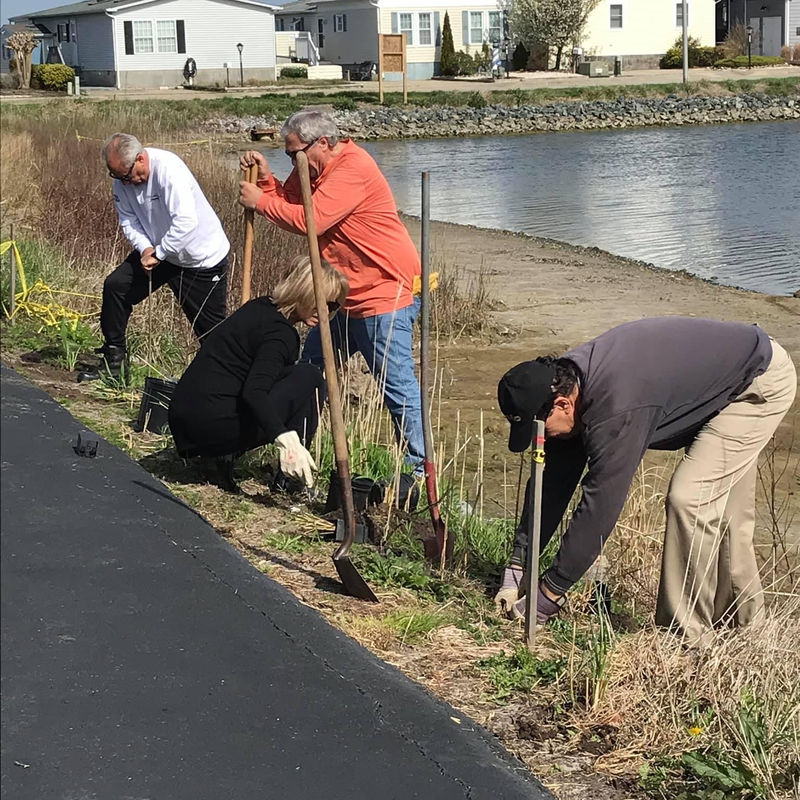 Photos from Pond Projects