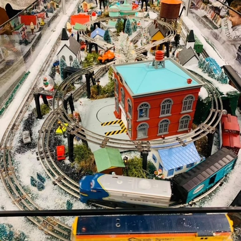 dennis-christmas-train-garden.jpg