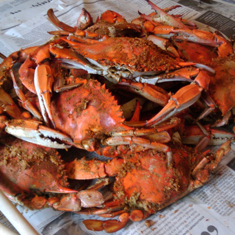 steamed-maryland-crabs.jpg